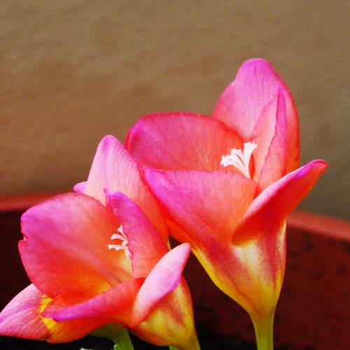 Photo #5855218