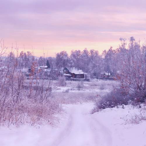Photo #5855252