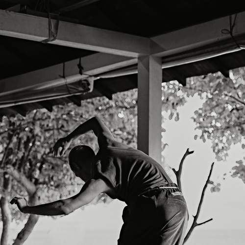 Photo #5855255