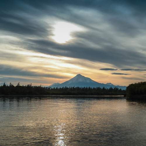 Photo #5855485