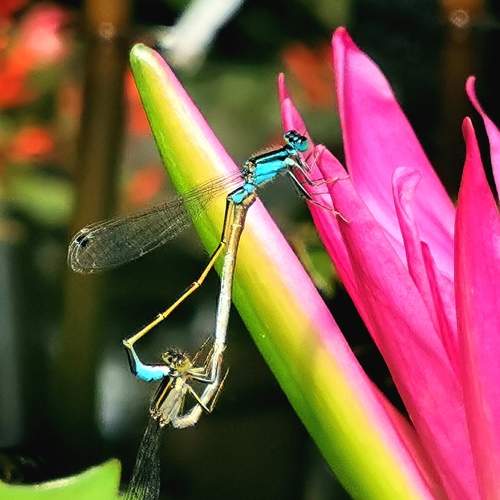 Photo #5855521