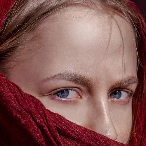 Photo #5855549