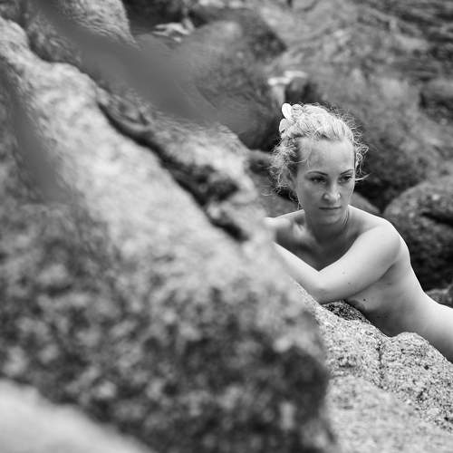 Photo #5855625