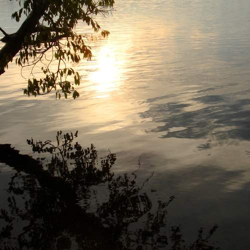 Photo #5855801