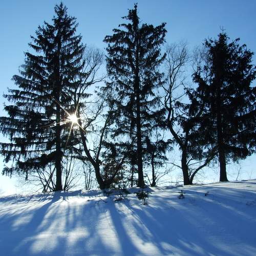 Photo #5855905