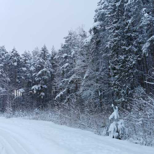 Photo #5855999