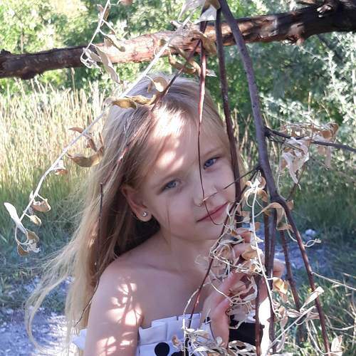 Photo #5856062