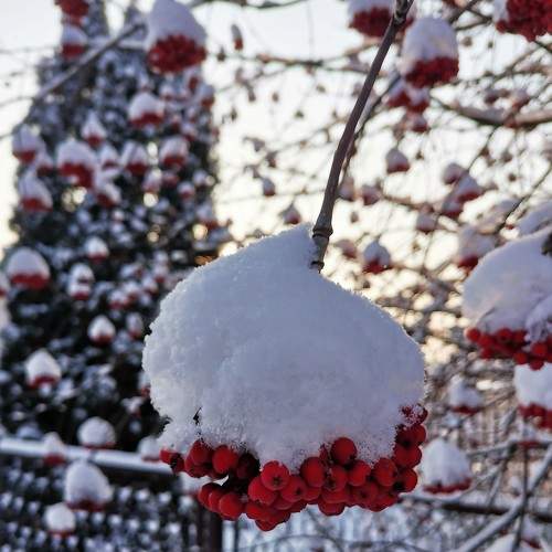 Photo #5856085