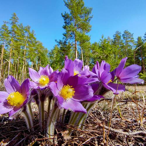 Photo #5856249