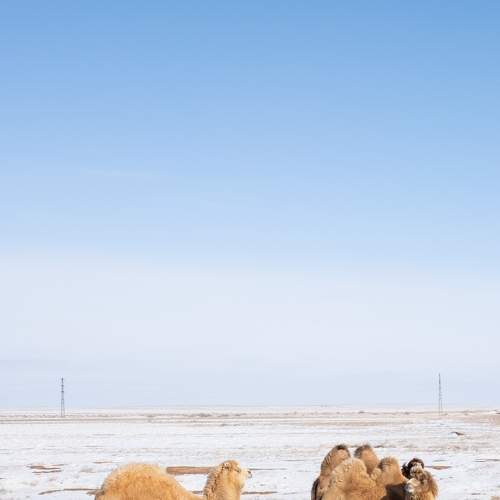 Photo #5856253