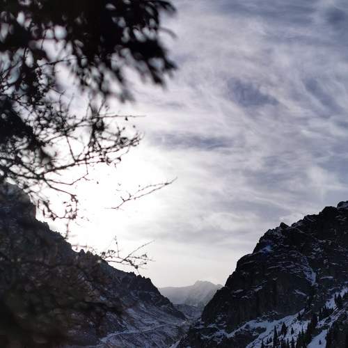 Photo #5856349