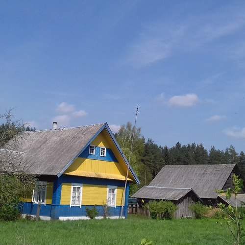 Photo #5856397
