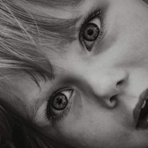 Photo #5856483