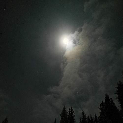 Photo #5856487