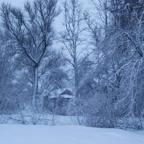 Photo #5856537