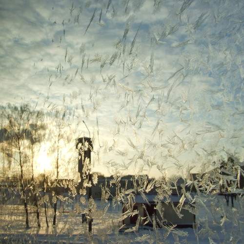 Photo #5856784