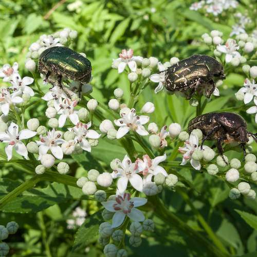Photo #5856965