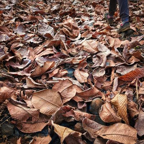 Photo #5857085