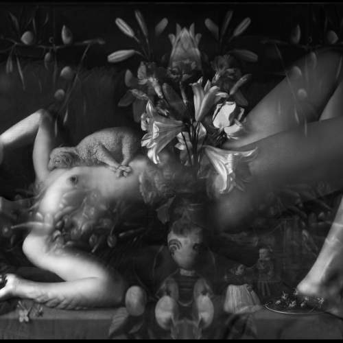Venus and life