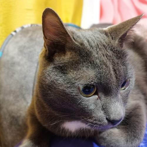 Photo #5857198