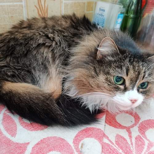 Photo #5857208
