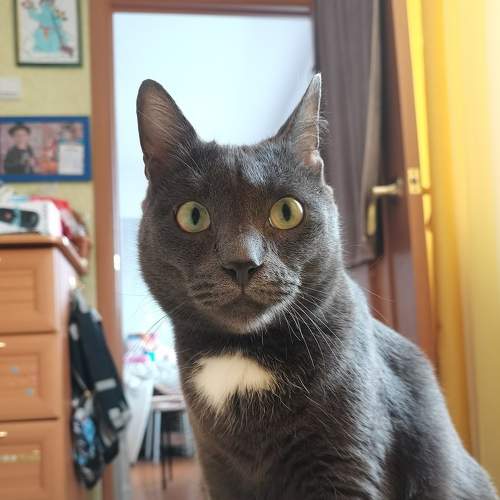 Photo #5857214