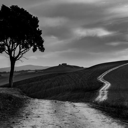 Crete Senesi