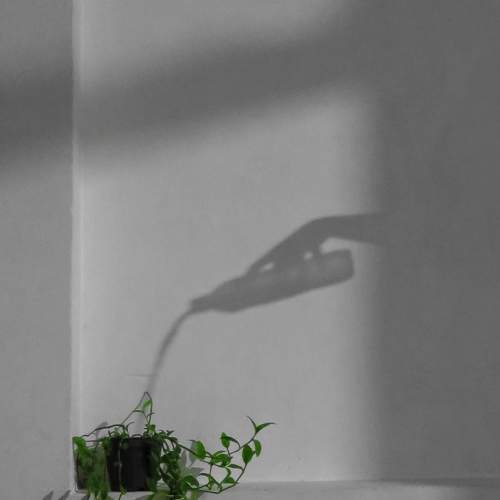 Photo #5857375