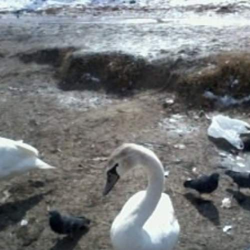 Photo #5857376