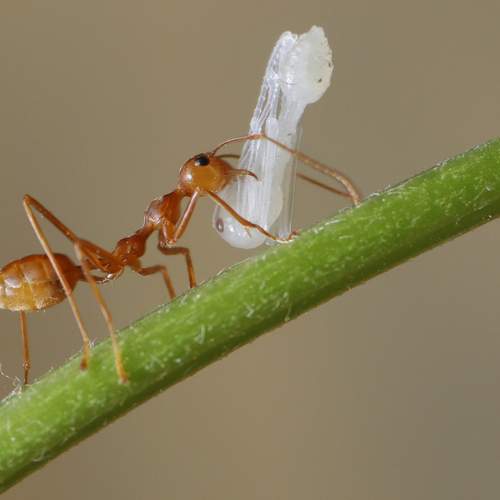 Photo #5857432