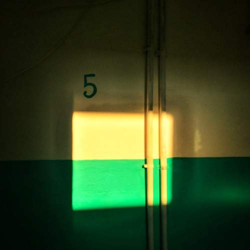 Photo #5857480
