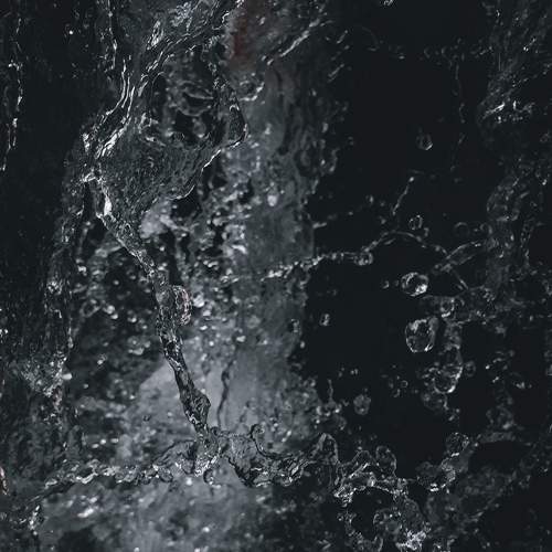 Photo #5857492