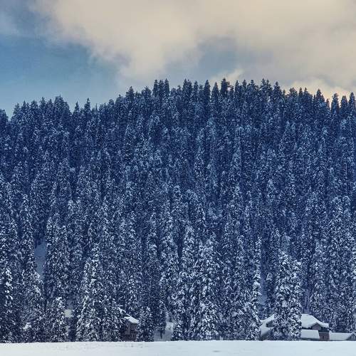 Photo #5857626