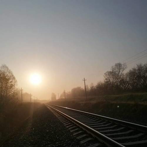Photo #5857849