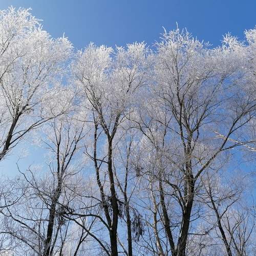 Photo #5857877