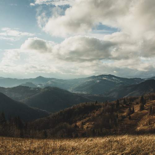 Photo #5857898