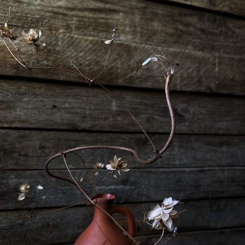 Photo #5858089