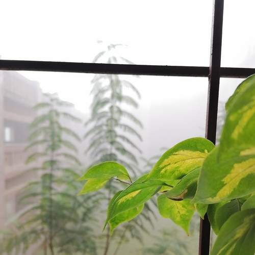 Photo #5858092