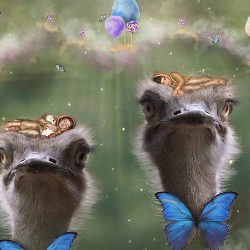 Photo #5858187