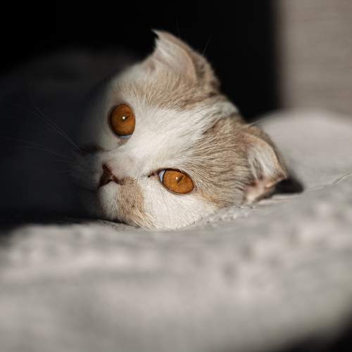 Photo #5858212