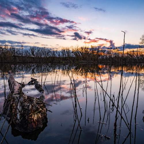 Photo #5858387