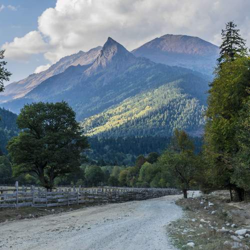 Photo #5858437