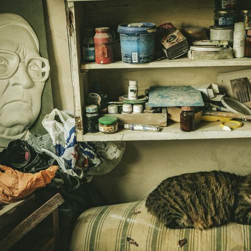 Photo #5858551