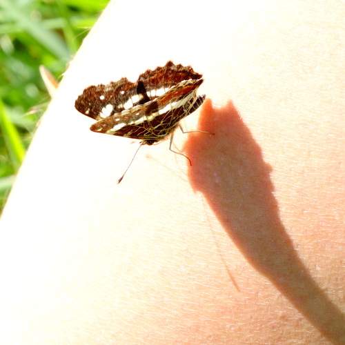 Photo #5858574