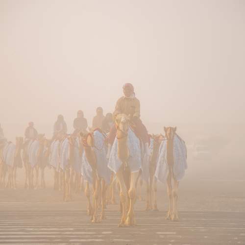 Photo #5858588