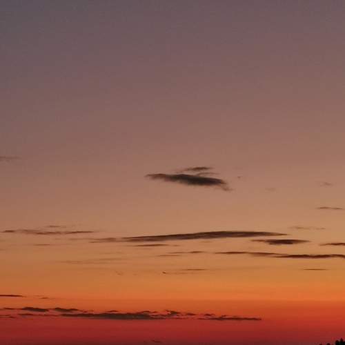 Photo #5858618