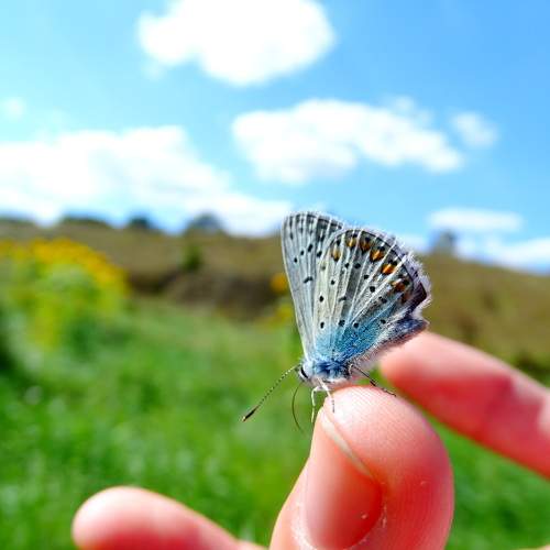 Photo #5858870