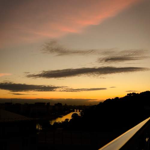 Photo #5858950