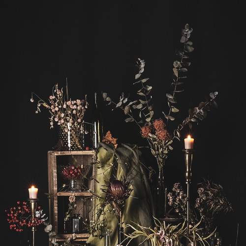 Photo #5859205