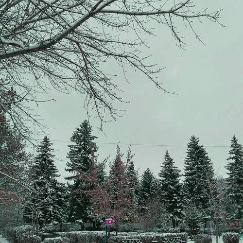 Photo #5859272